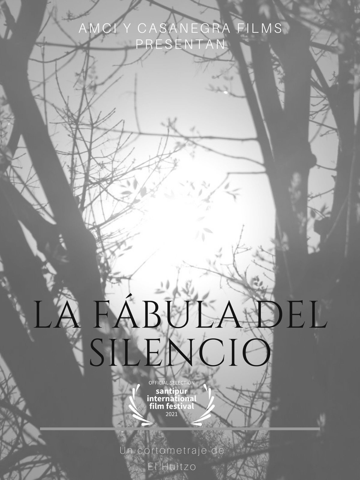 Cartel de La Fábula del Silencio